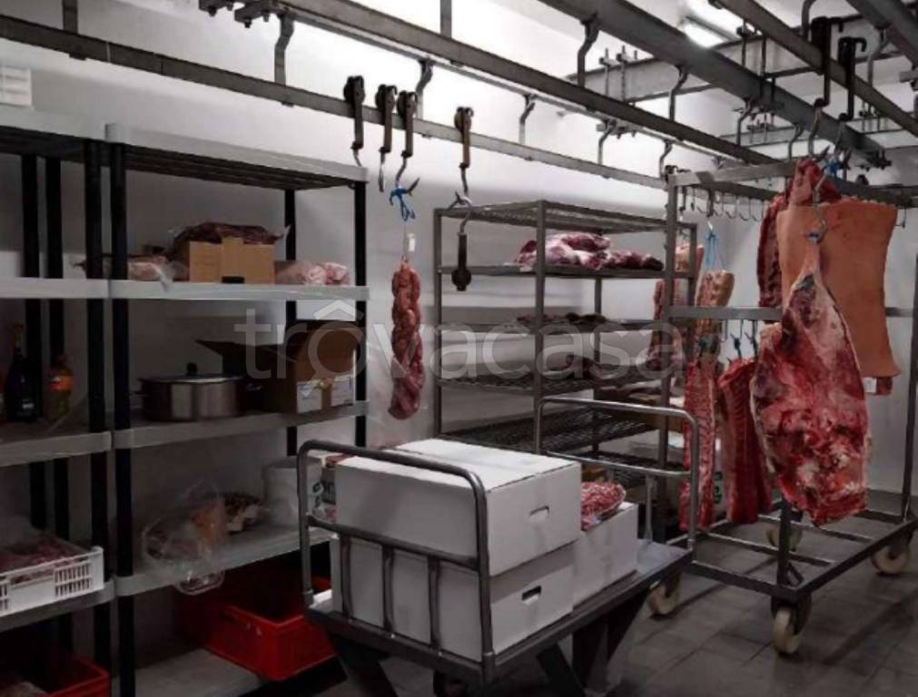 immagine annuncio 9 di 11