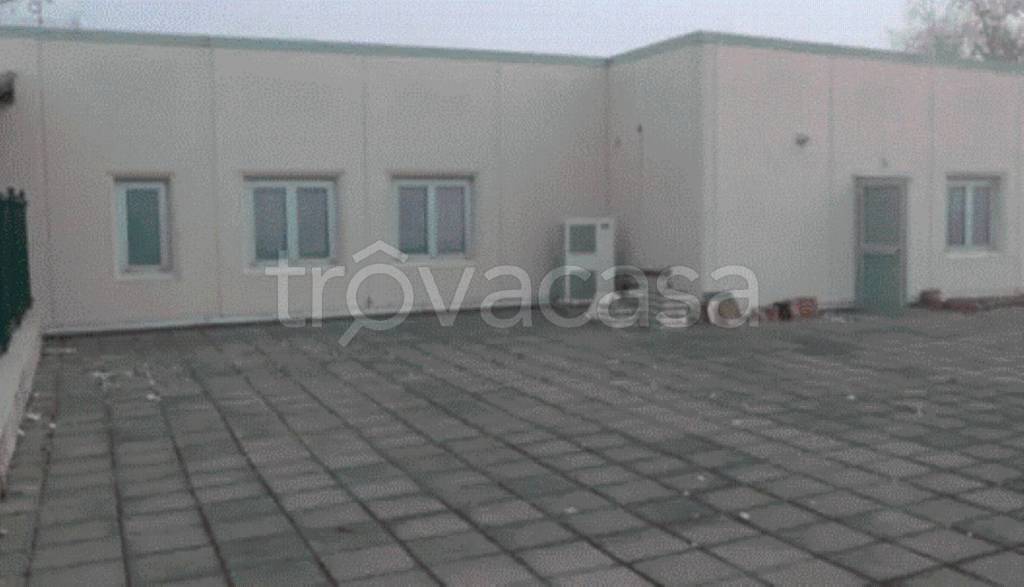 immagine annuncio 3 di 12