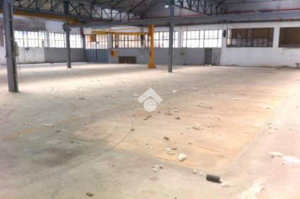 immagine annuncio 1 di 6