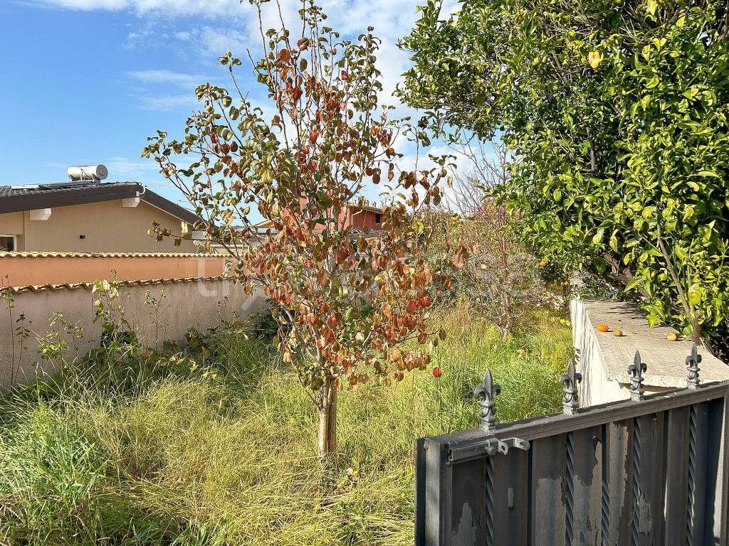 immagine annuncio 5 di 6