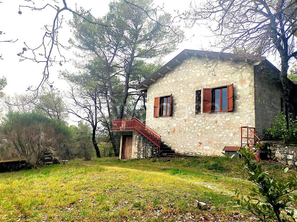 immagine annuncio 3 di 12