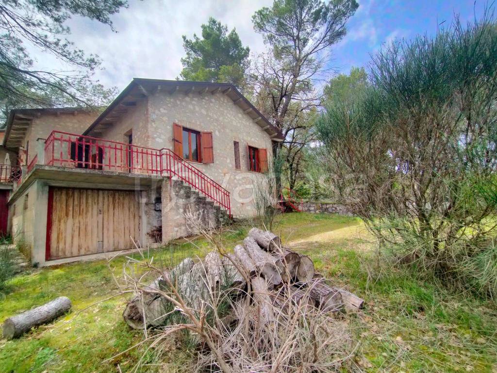 immagine annuncio 2 di 12