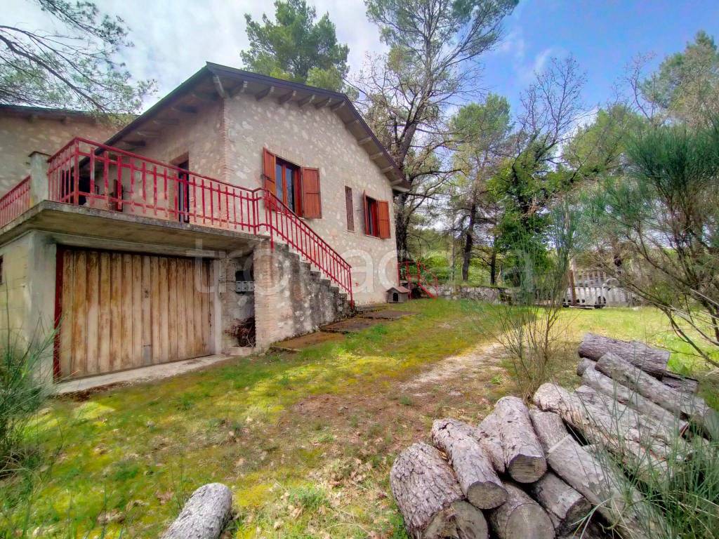 immagine annuncio 3 di 12