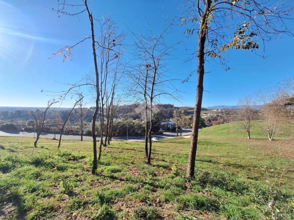 immagine annuncio 8 di 12