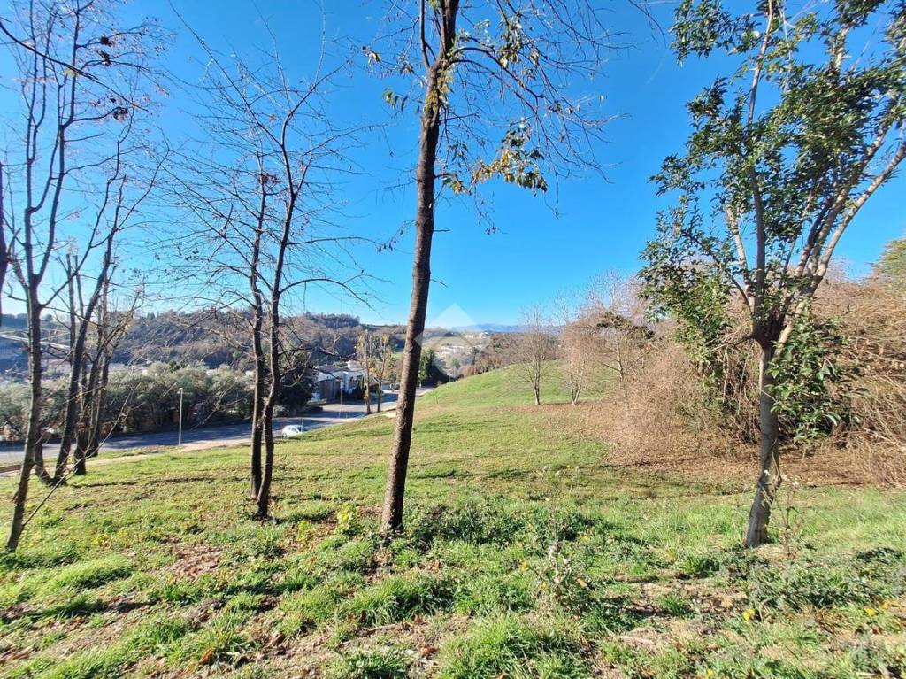 immagine annuncio 9 di 12