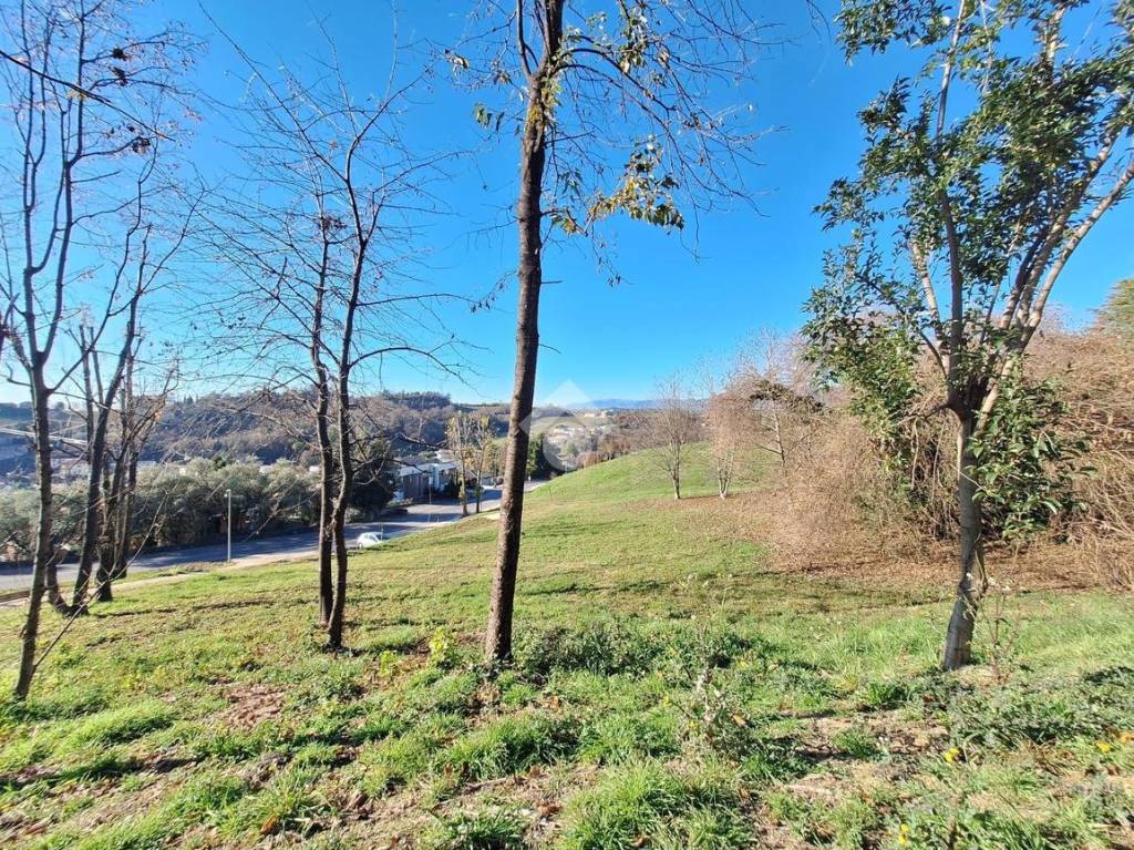 immagine annuncio 10 di 12