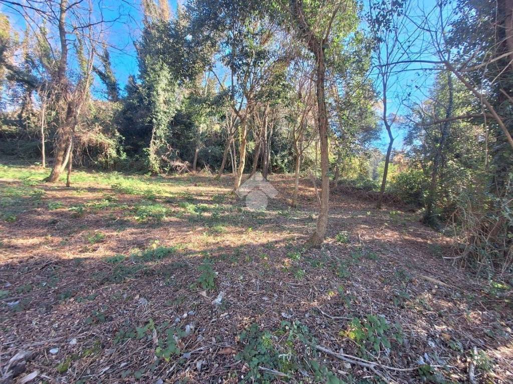 immagine annuncio 11 di 12