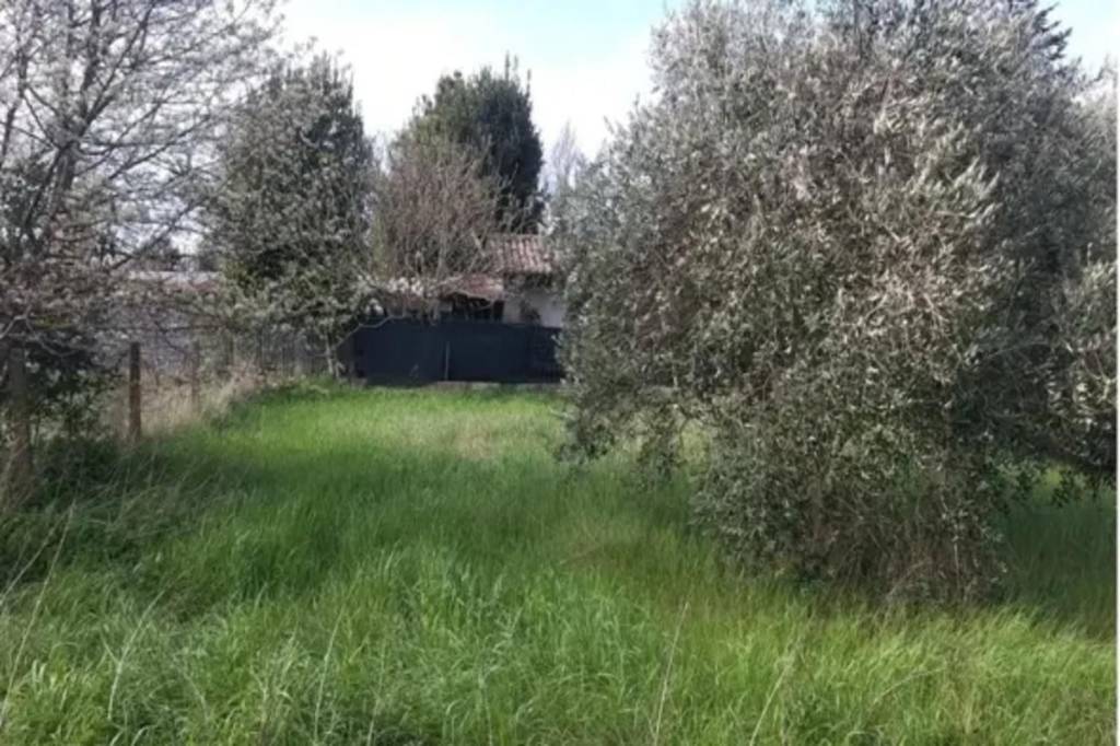 immagine annuncio 2 di 12