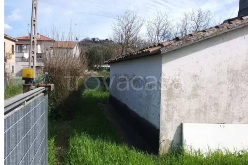 immagine annuncio 4 di 12