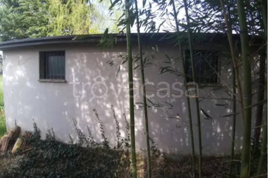 immagine annuncio 8 di 12