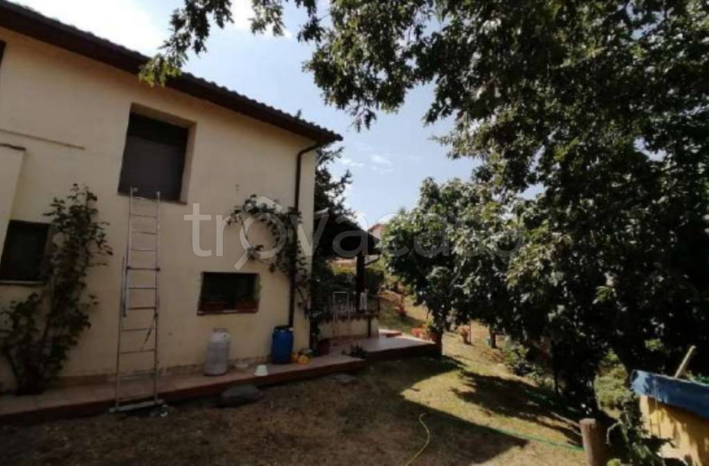 immagine annuncio 4 di 11