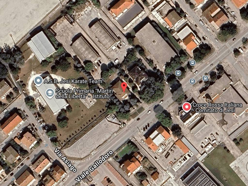 immagine annuncio 1 di 11