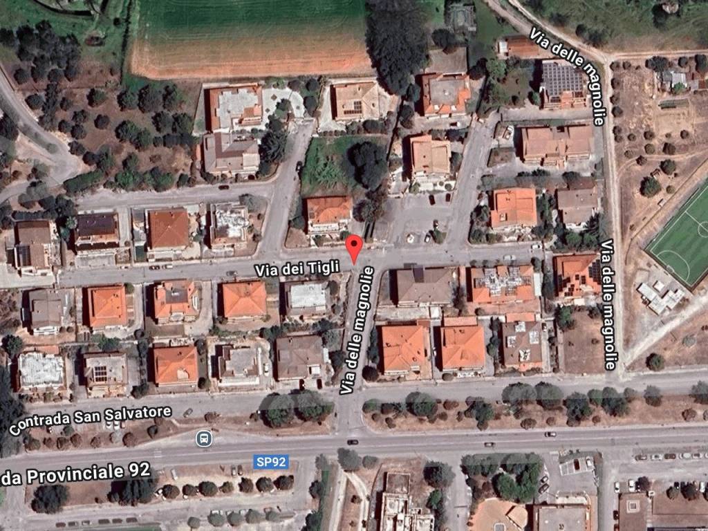 immagine annuncio 1 di 11