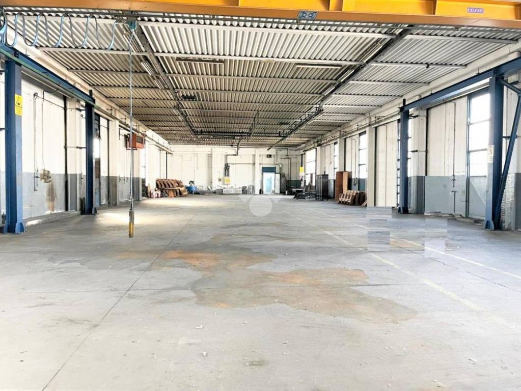 immagine annuncio 1 di 15