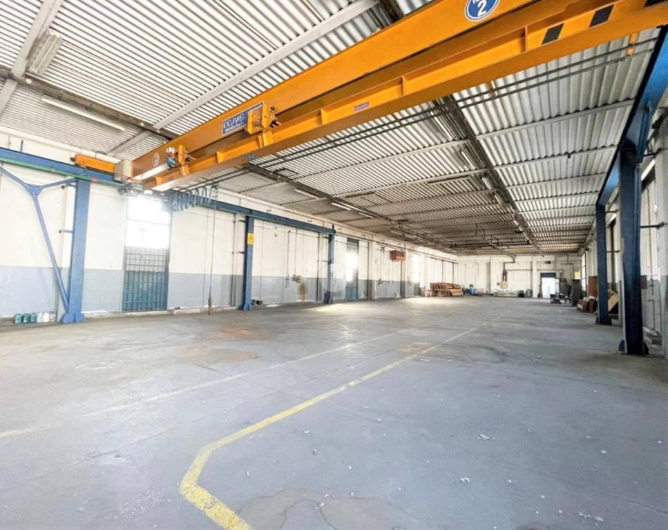 immagine annuncio 7 di 15