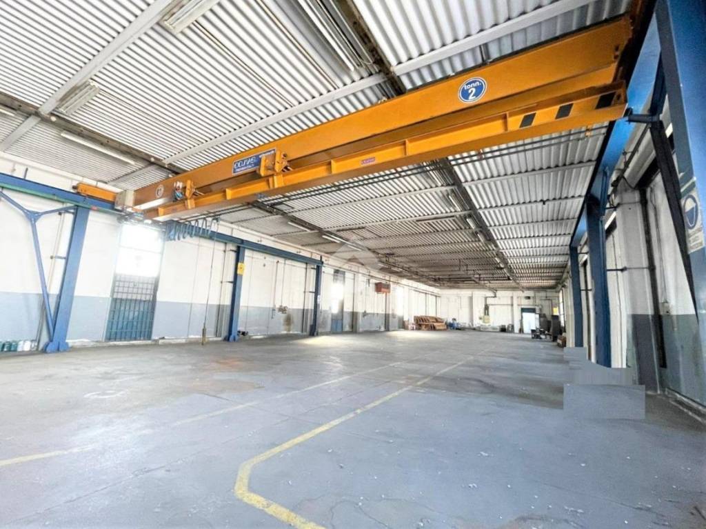 immagine annuncio 8 di 15