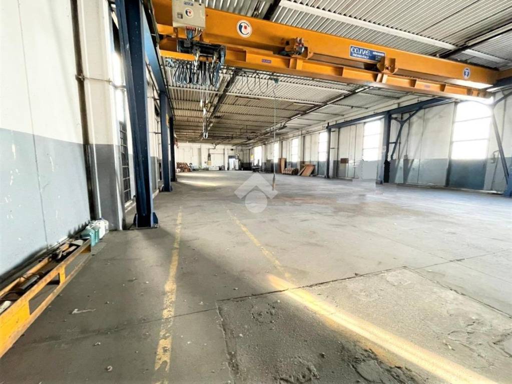 immagine annuncio 12 di 15