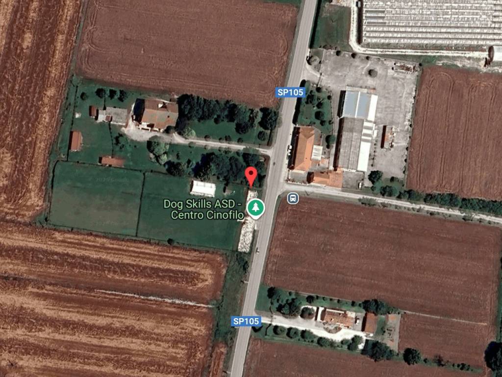 immagine annuncio 1 di 11