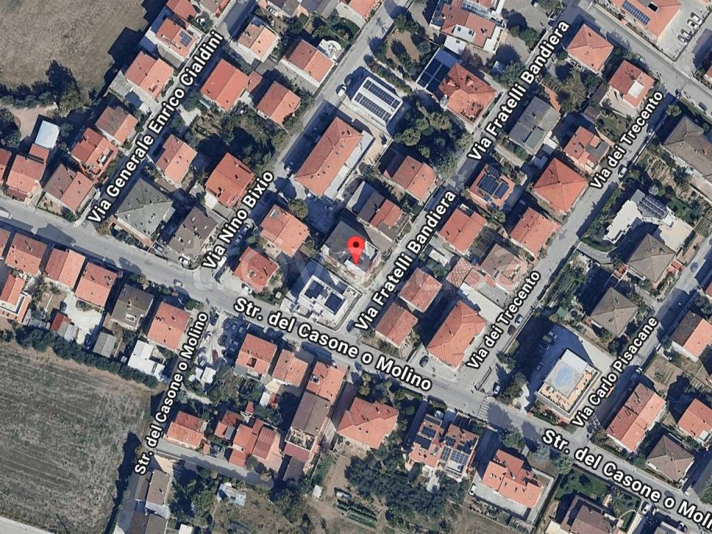 immagine annuncio 1 di 11