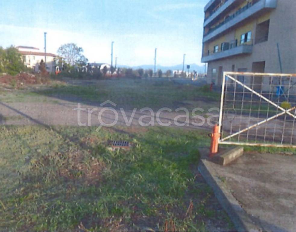 immagine annuncio 2 di 12