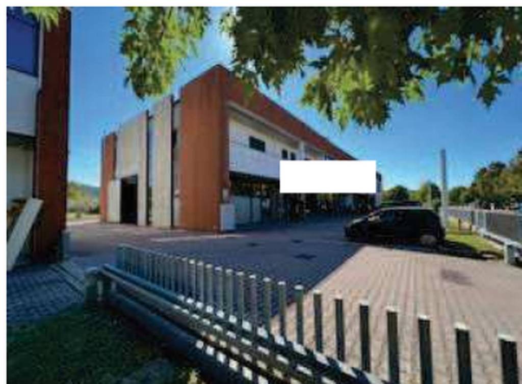 immagine annuncio 3 di 11