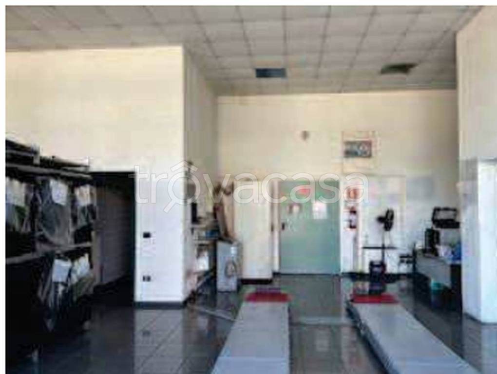 immagine annuncio 6 di 11