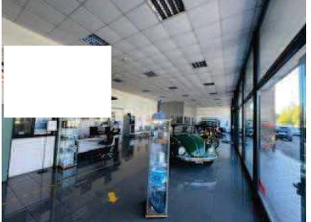 immagine annuncio 7 di 11