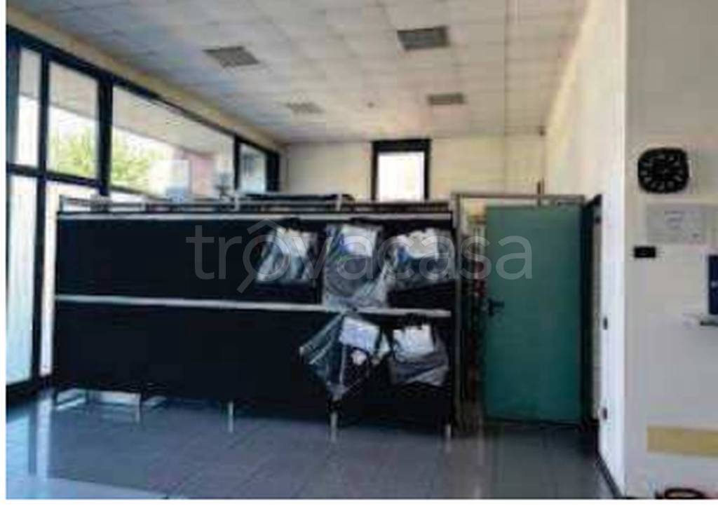 immagine annuncio 9 di 11