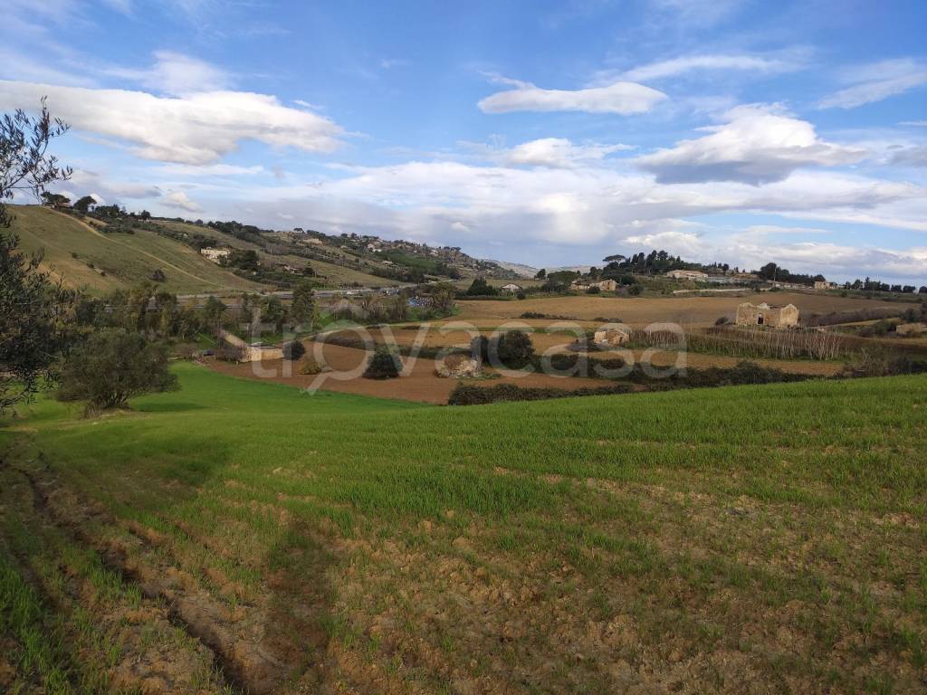 immagine annuncio 2 di 8