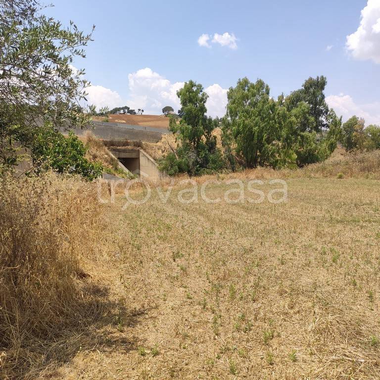 immagine annuncio 4 di 8