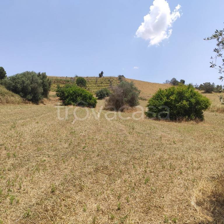 immagine annuncio 6 di 8