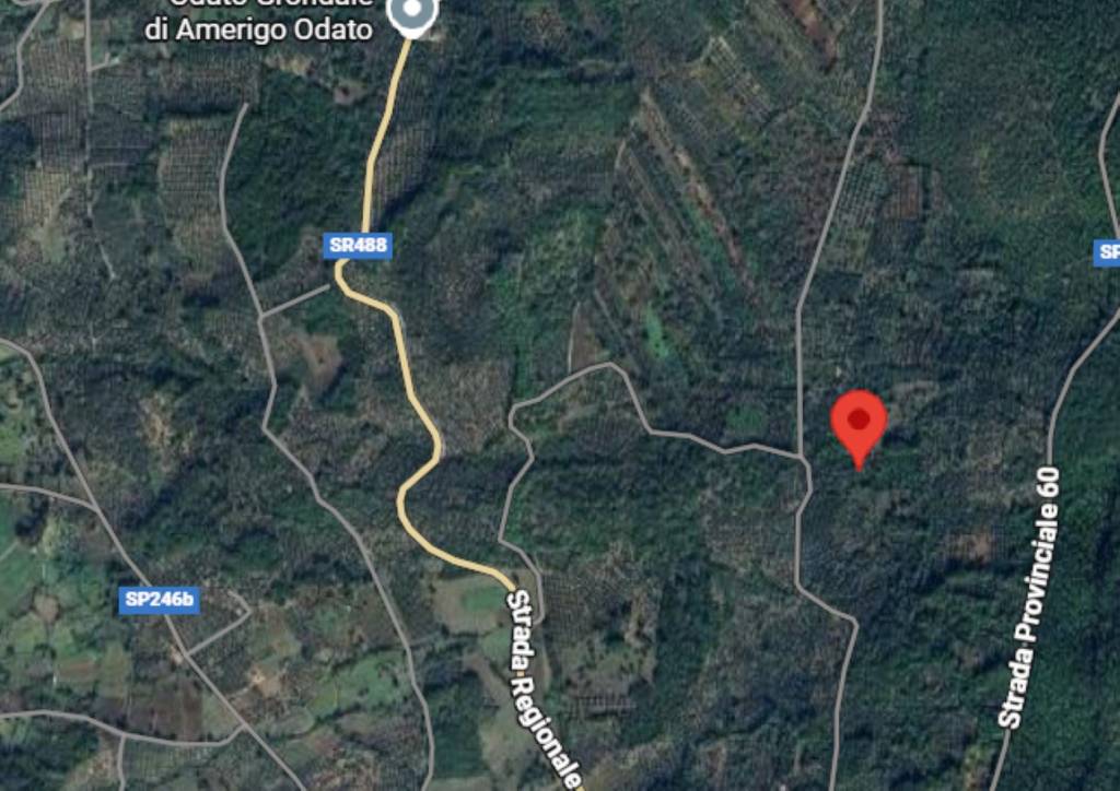 immagine annuncio 6 di 12