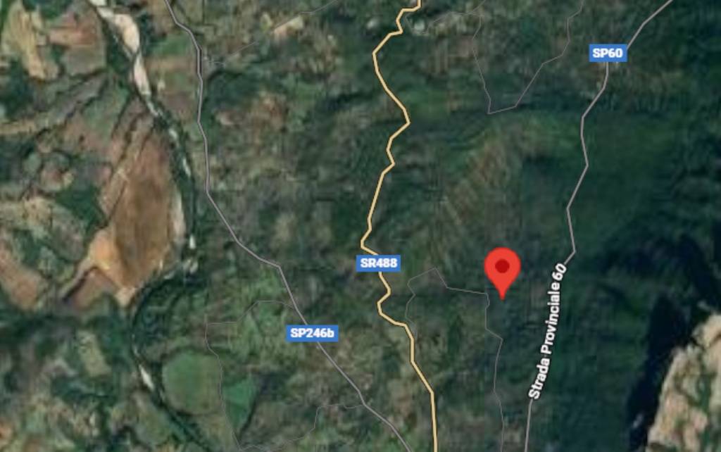 immagine annuncio 7 di 12