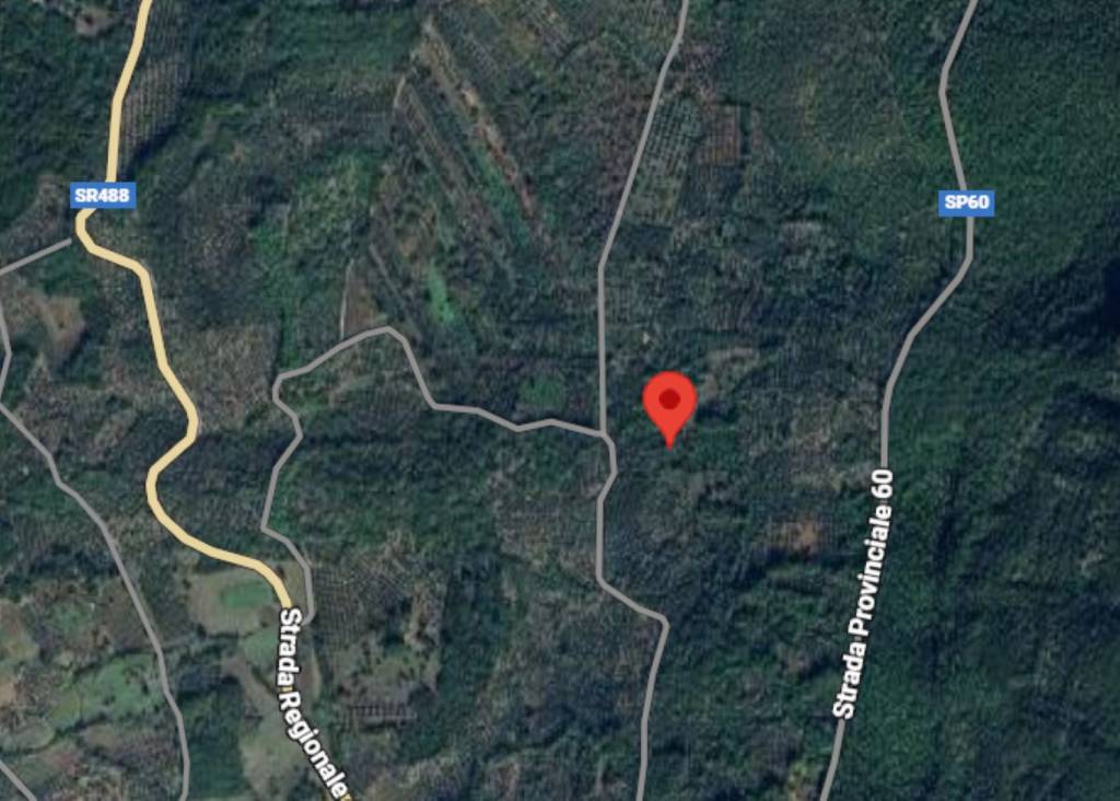 immagine annuncio 8 di 12