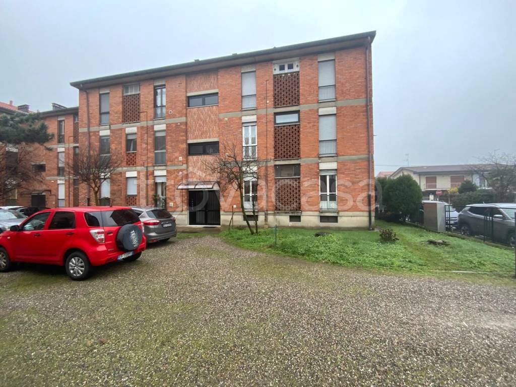 immagine annuncio 4 di 15