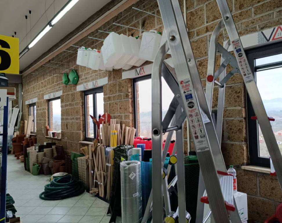 immagine annuncio 4 di 11