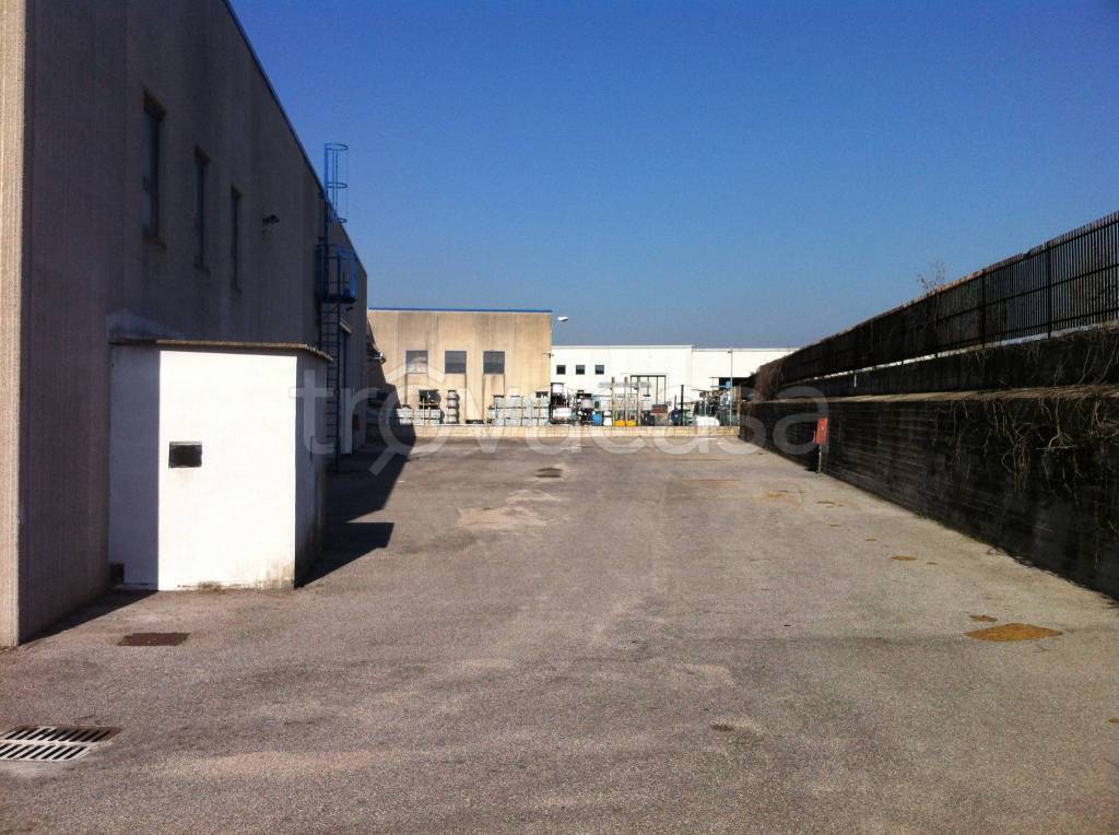 immagine annuncio 12 di 14