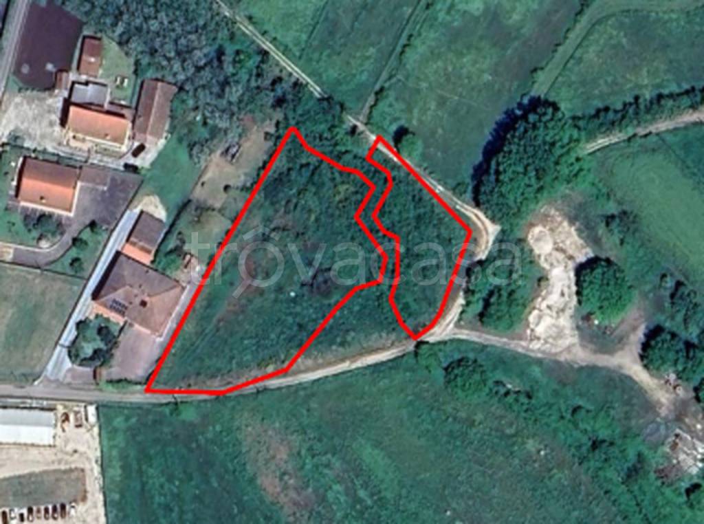 immagine annuncio 2 di 11