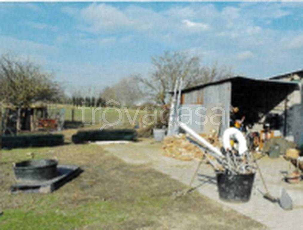 immagine annuncio 3 di 12