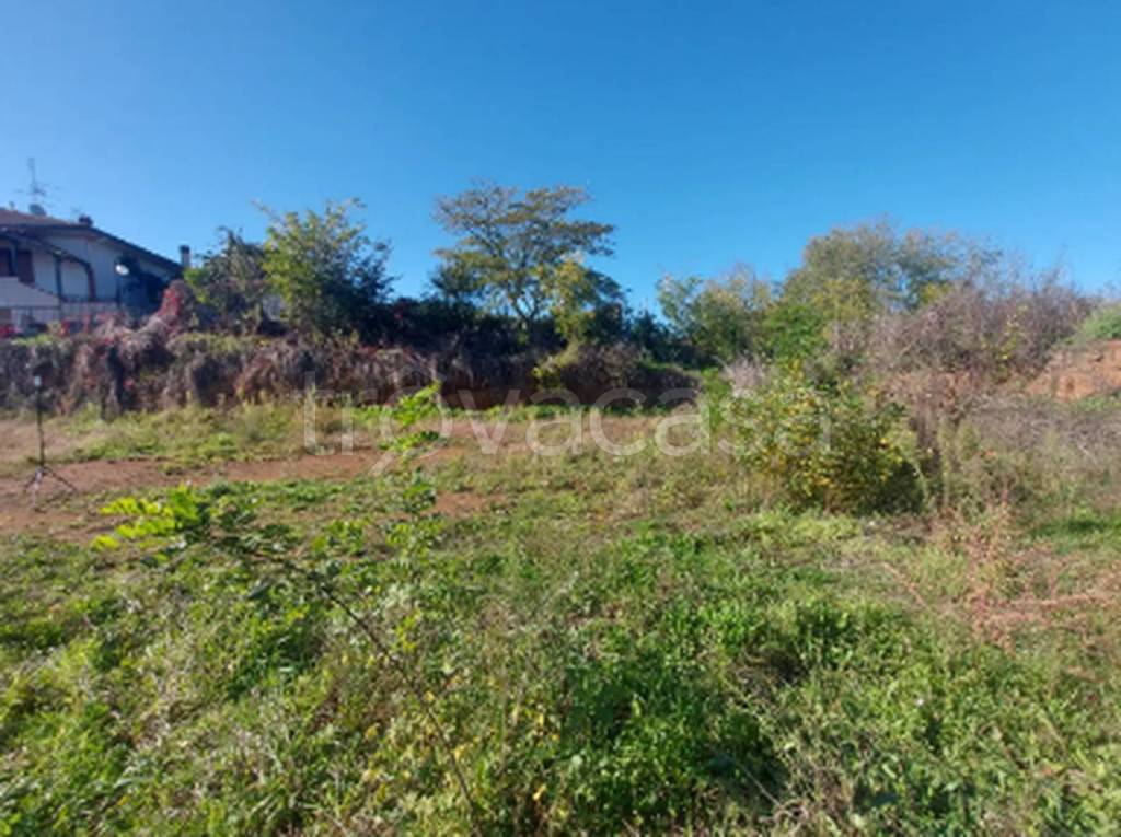 immagine annuncio 5 di 11