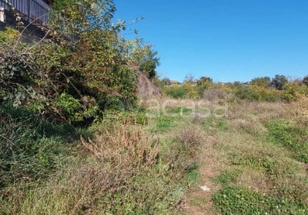 immagine annuncio 8 di 11