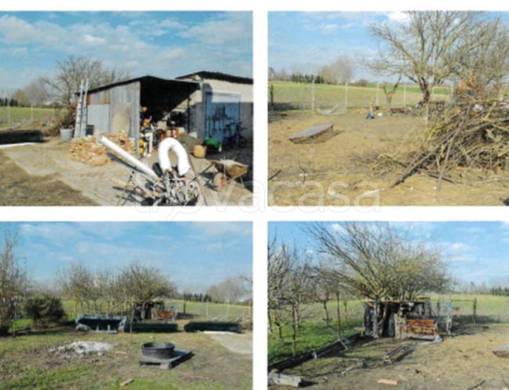 immagine annuncio 6 di 12