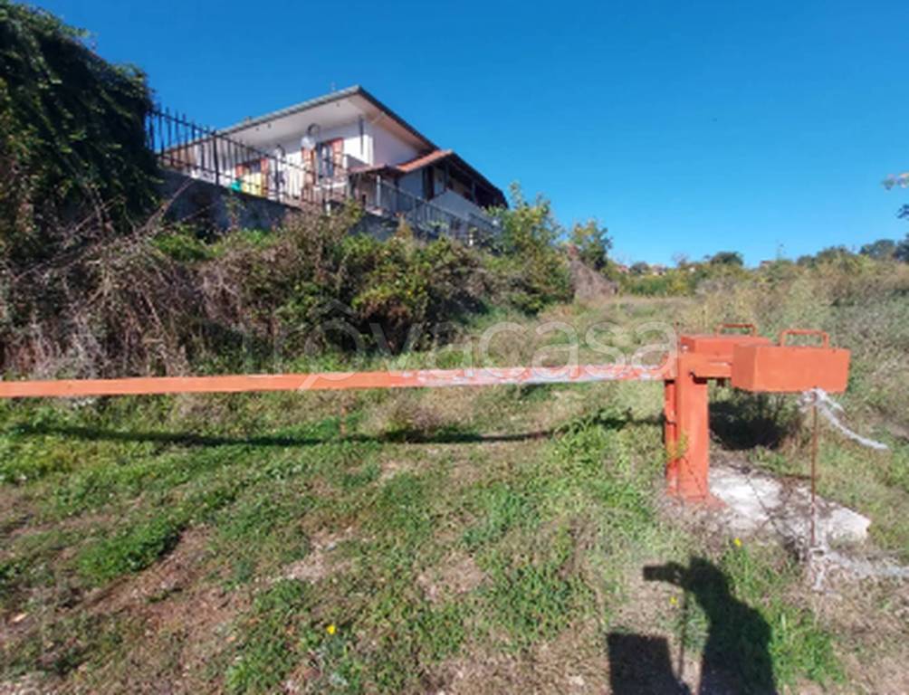 immagine annuncio 10 di 11