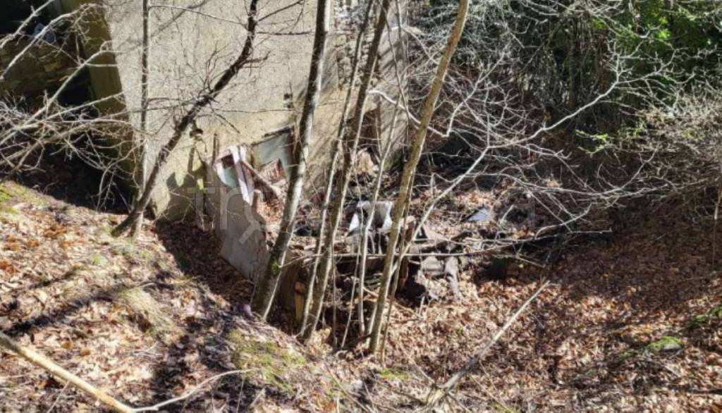 immagine annuncio 7 di 12