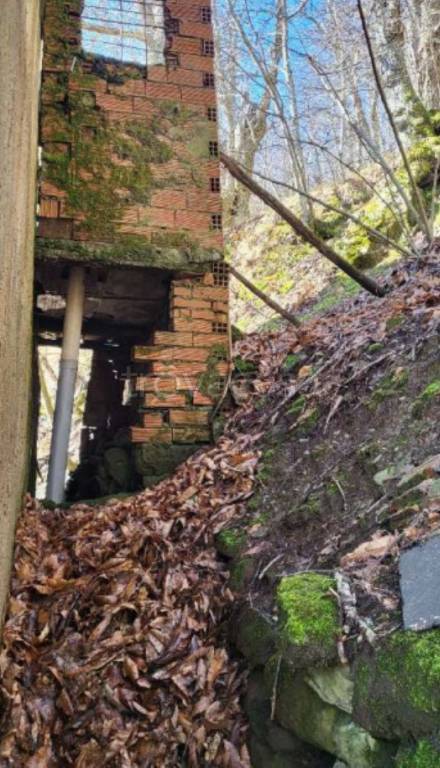 immagine annuncio 9 di 12