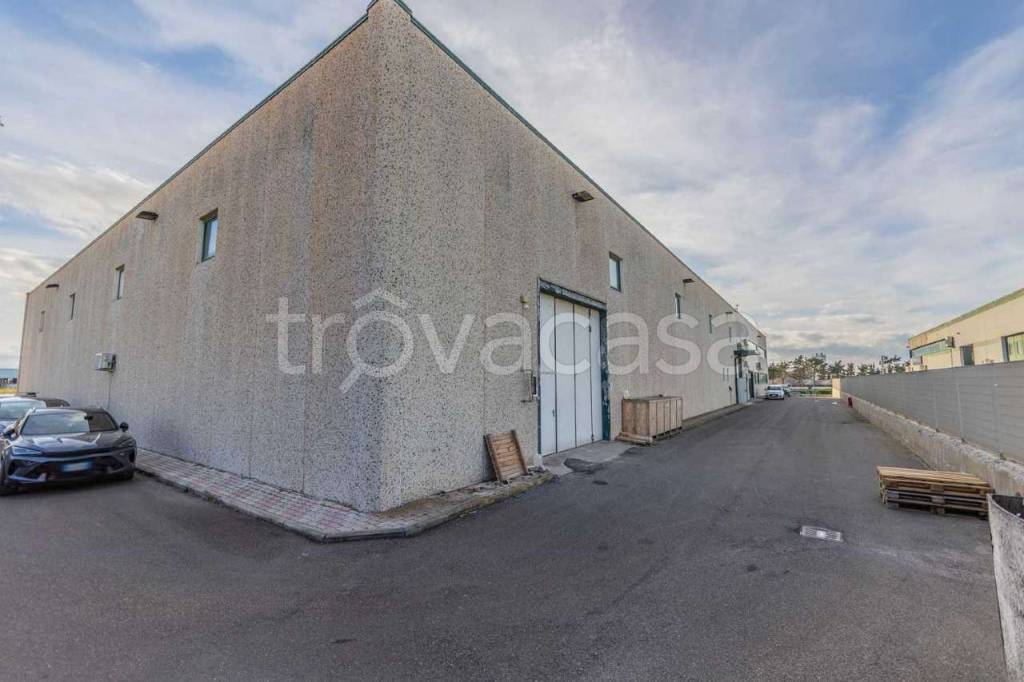 immagine annuncio 9 di 15