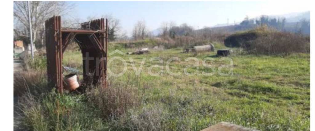 immagine annuncio 2 di 12