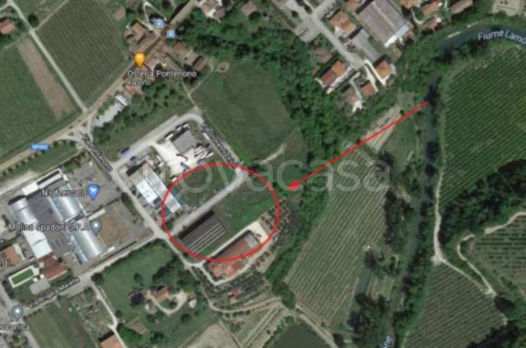 immagine annuncio 3 di 12