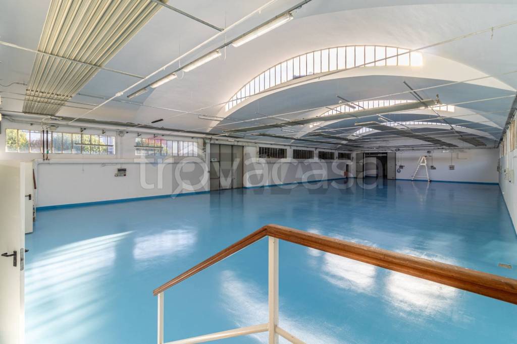 immagine annuncio 12 di 15