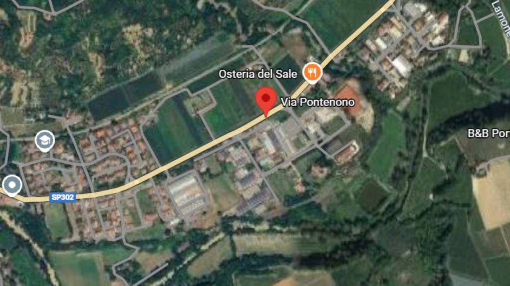 immagine annuncio 5 di 12